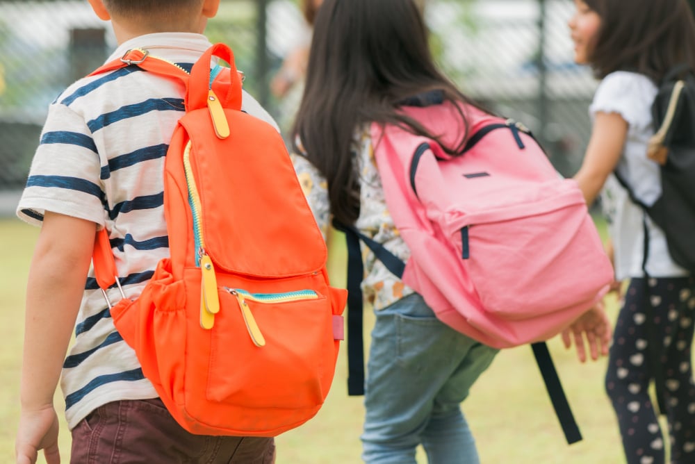 image in article C&oacute;mo los daycares pueden planificar excursiones sin transporte
